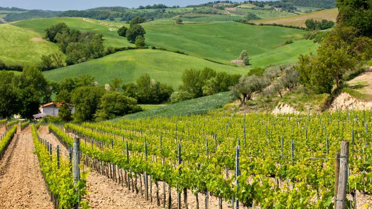 Tuscany Escorted Tours Highlights
