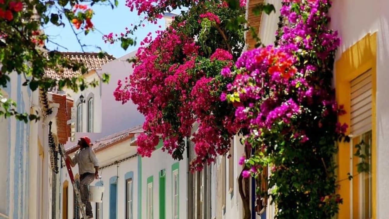 Algarve Guided Holidays