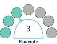 Level 3 - Moderate