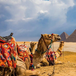 Egypt