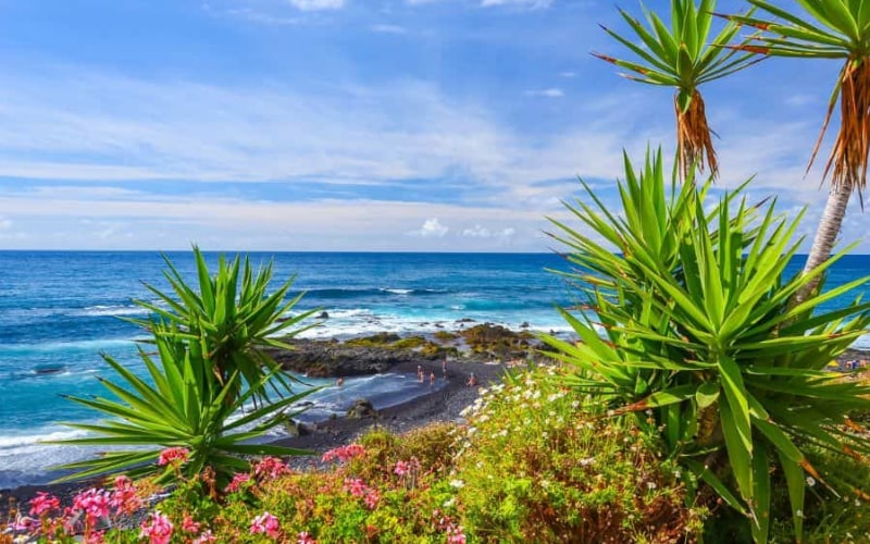 Best Places to Travel in January