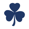 Irish owned & operated