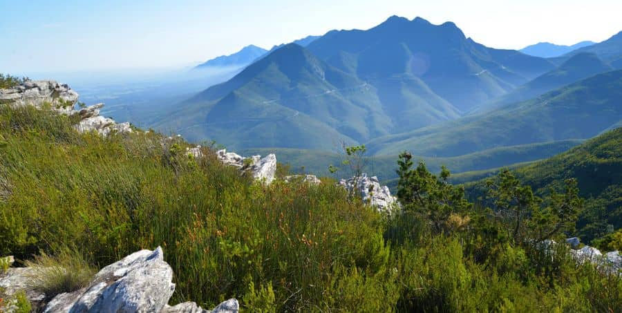 discover-outeniqua-mountains-south-africa-tour.jpg