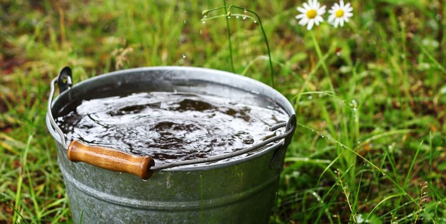 bucket-of-water.jpg