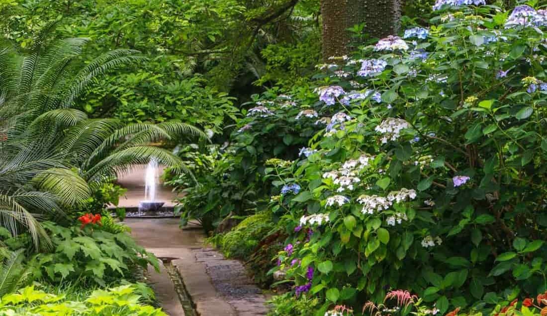 Visit La Mortella Gardens