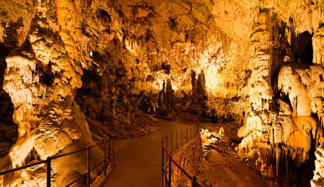 Explore the Postojna Caves