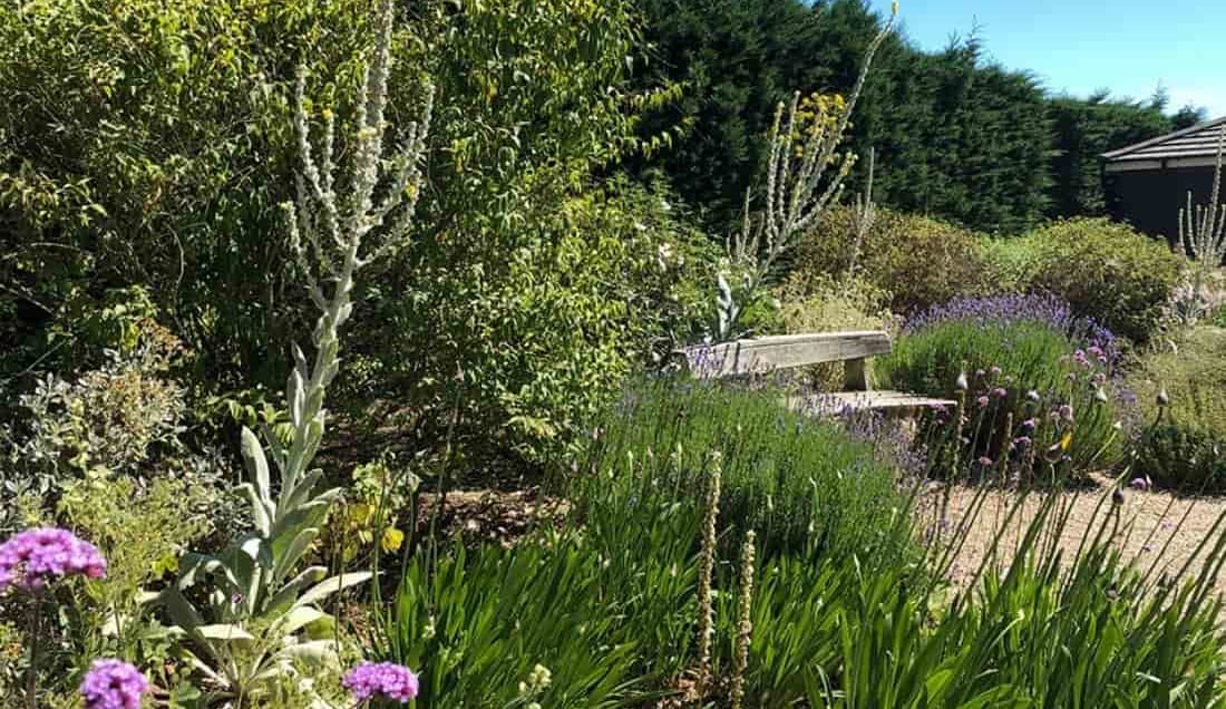 Beth Chatto Gardens & the Gardens of East Anglia