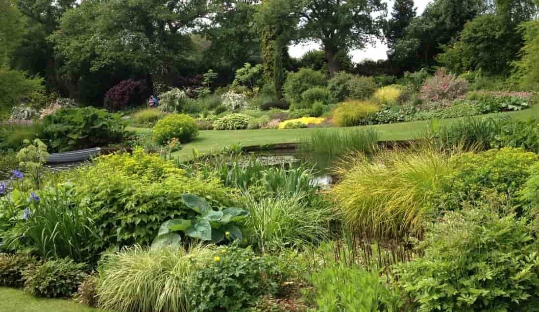 Visit the famous Beth Chatto's gardens