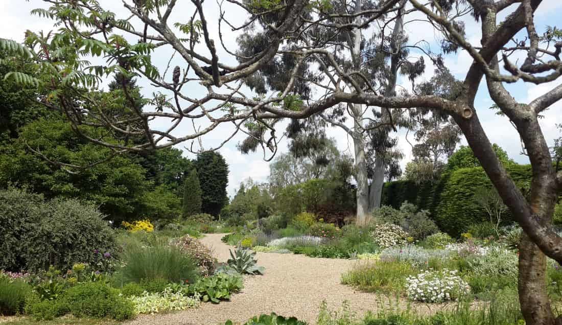Visit Beth Chatto's garden