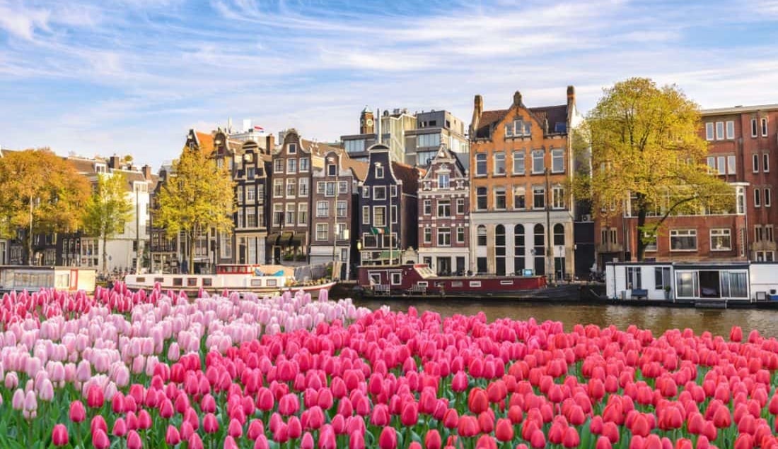 Discover the best of Amsterdam