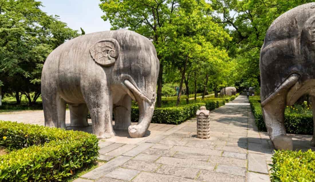 Discover the Sacred Way