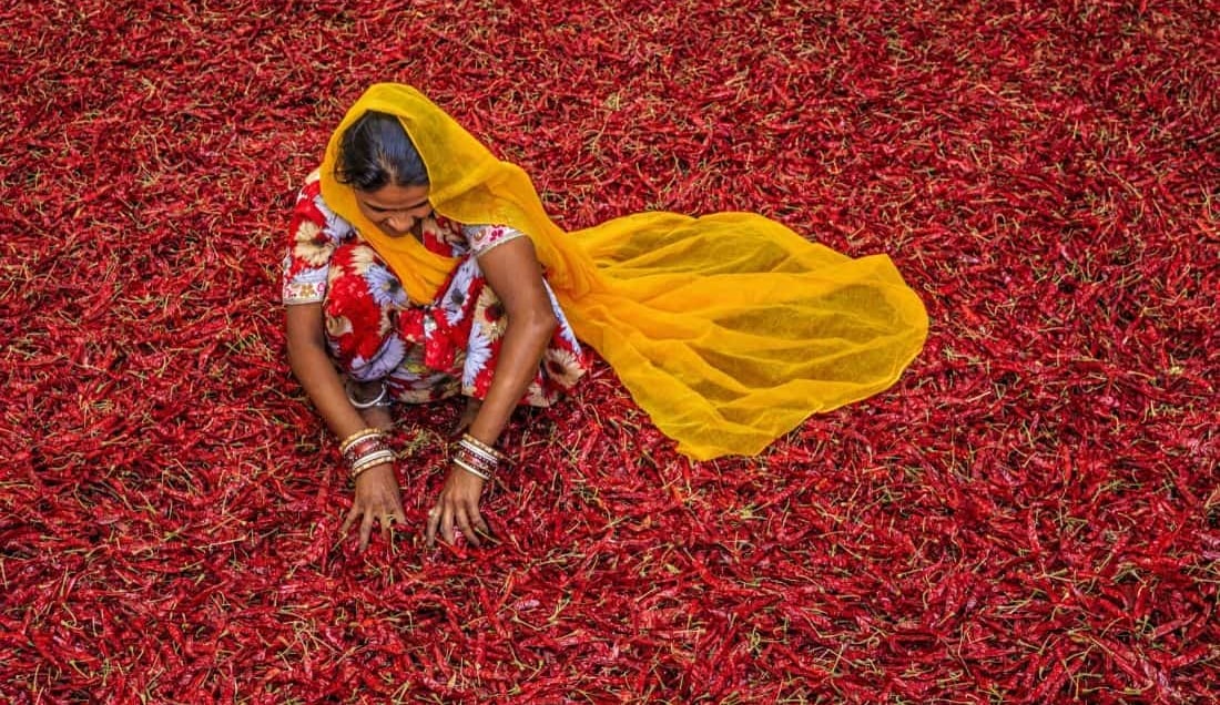 Experience the vibrant atmosphere of India