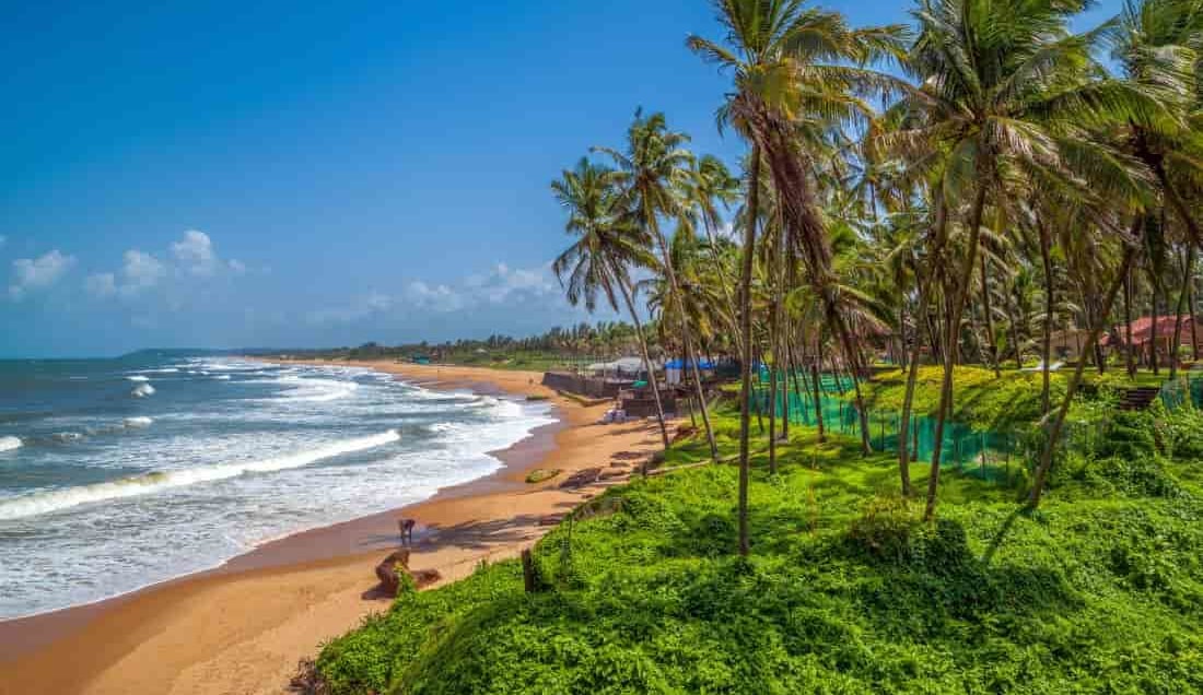 Relax on the pristine beaches of Goa