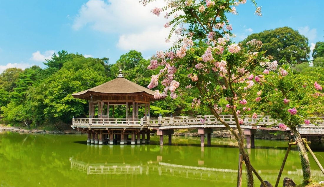 Experience the Sights in Nara Japan