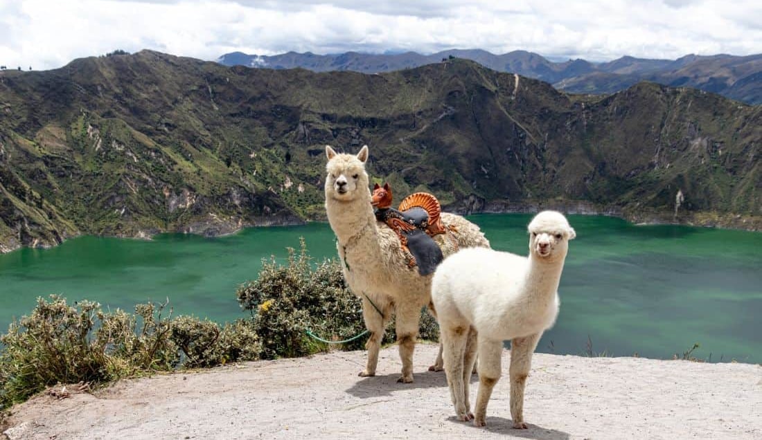 Visit Quilotoa Lagoon