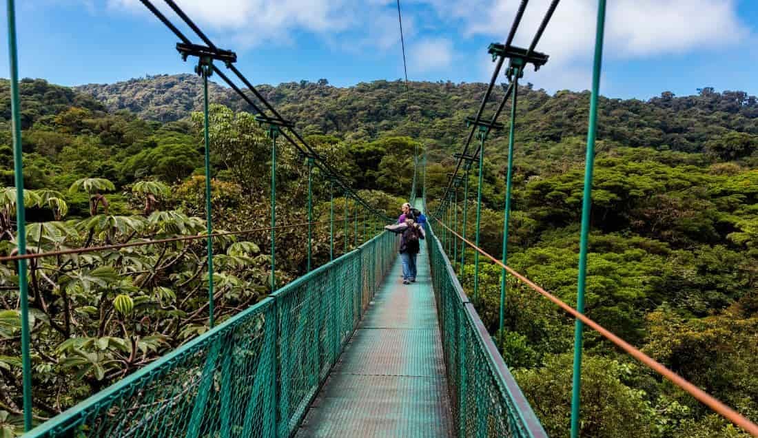 Experience Monteverde Cloud Forest Excursion