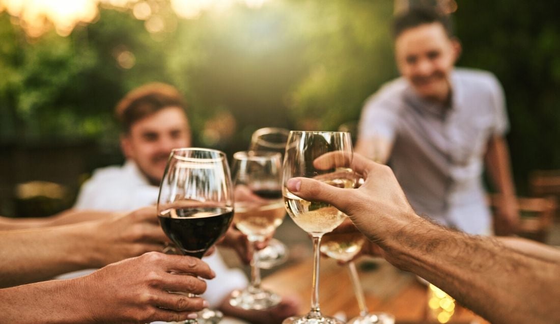 Discover the vineyards of South Africa