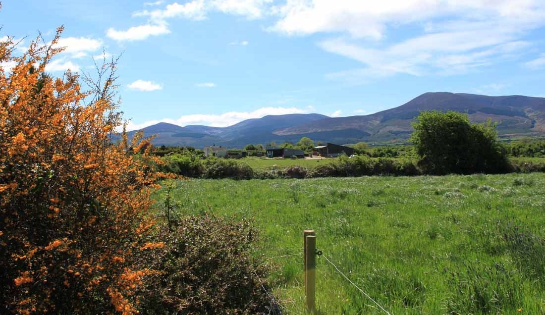 Experience the stunning landscapes of West Cork. 