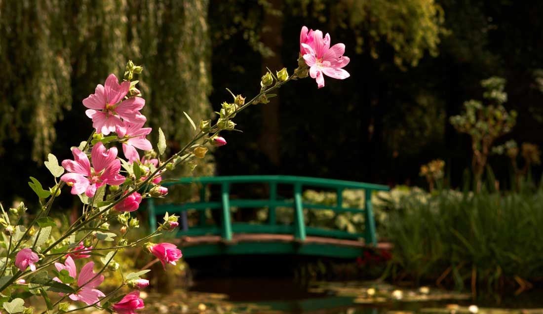 Monet's Garden & Gardens of Normandy
