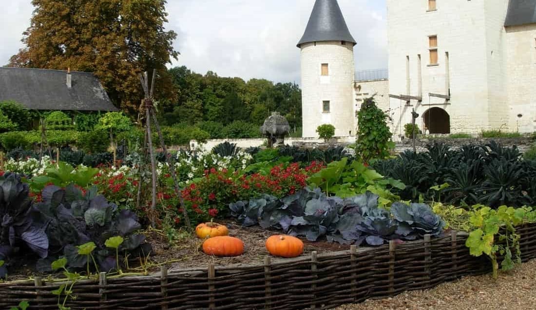 Visit Chateau de Rivau