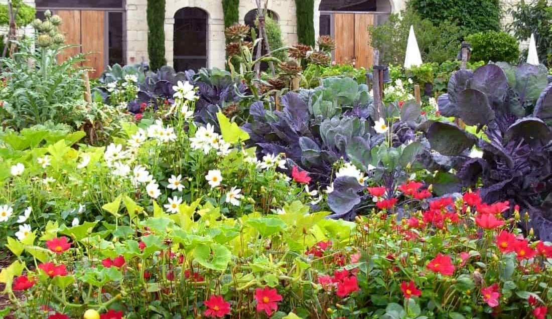 Discover the best gardens of the Loire Valley