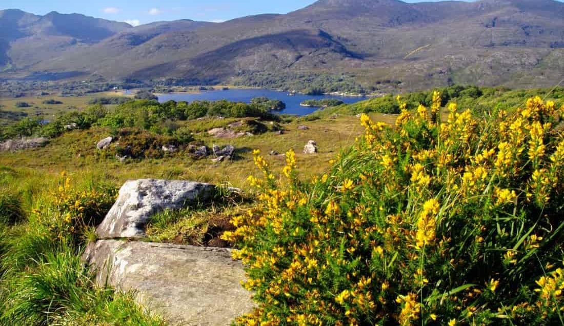 See the beautiful landscapes of Kerry