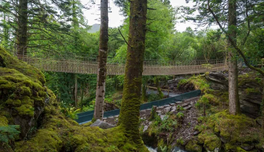 Visit Kells Bay Garden