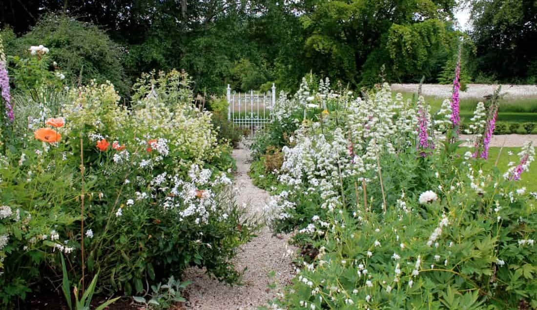 Uncover wonderful gardens of Wicklow