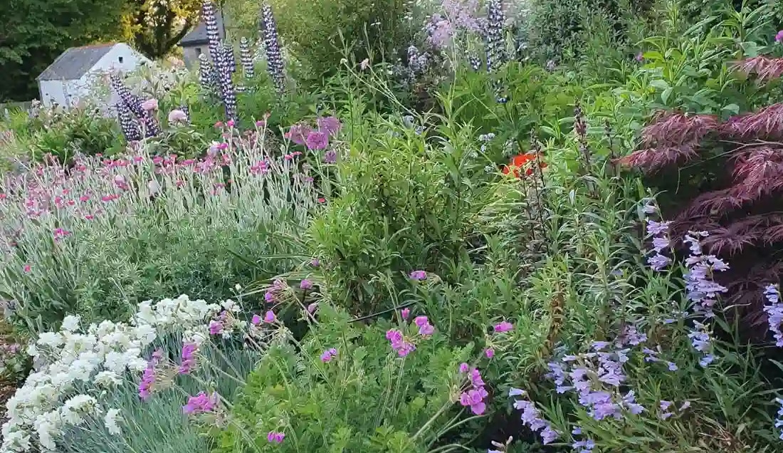 Discover Seaview Garden