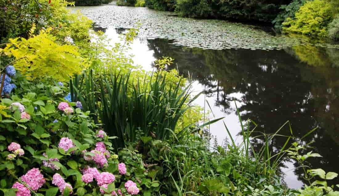 Explore Altamont Gardens