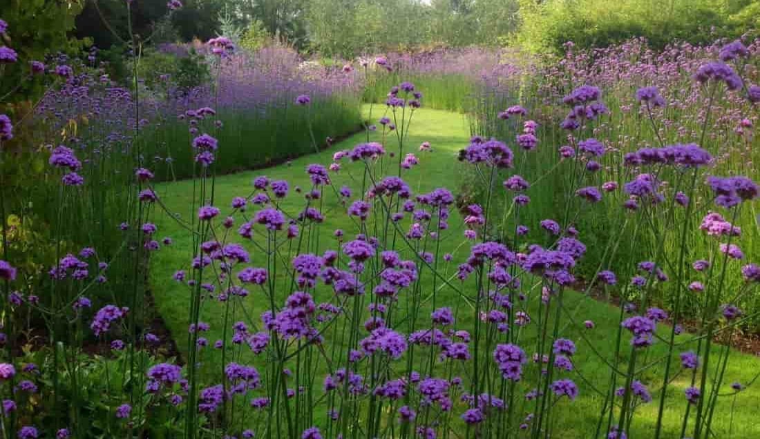 Visit Coolaught Gardens