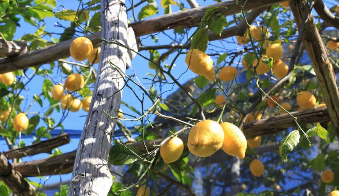 SuperSaver Lake Garda