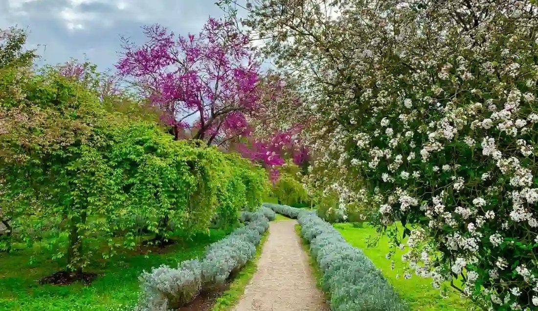 Uncover the most beautiful gardens of Rome