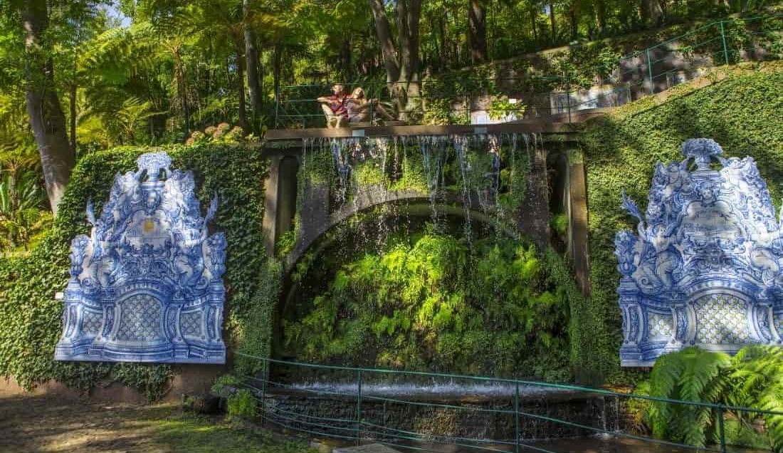 Explore the wonderful Botanic Gardens of Madeira