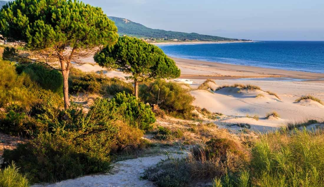 Relax in Costa de la Luz