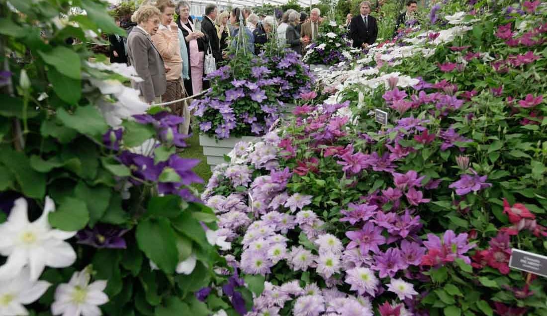 RHS Chelsea Flower Show