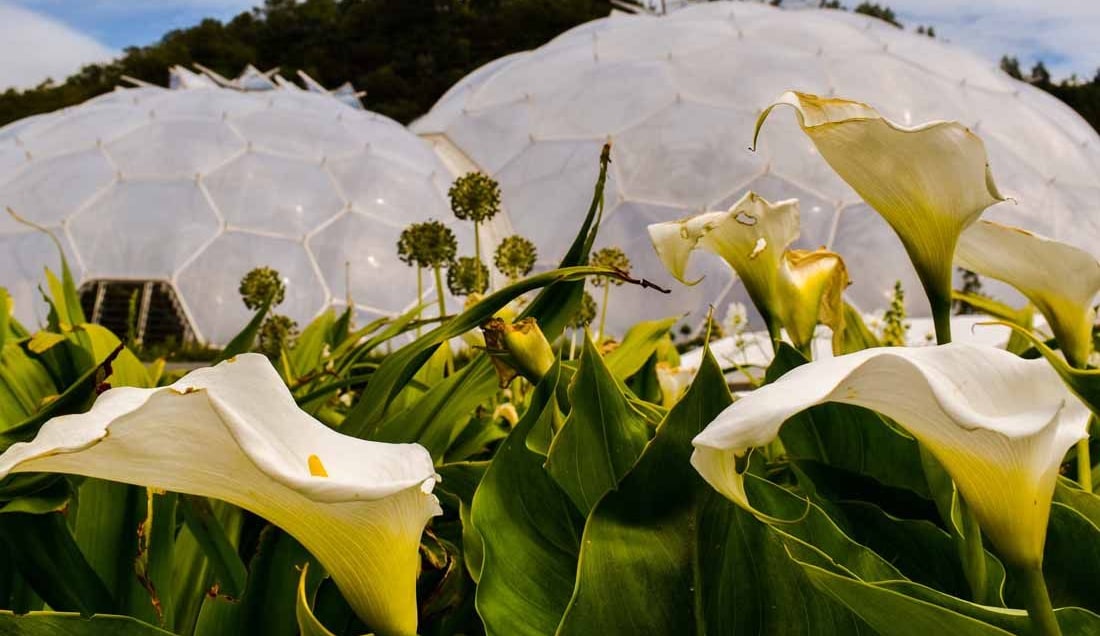 Discover the Eden Project