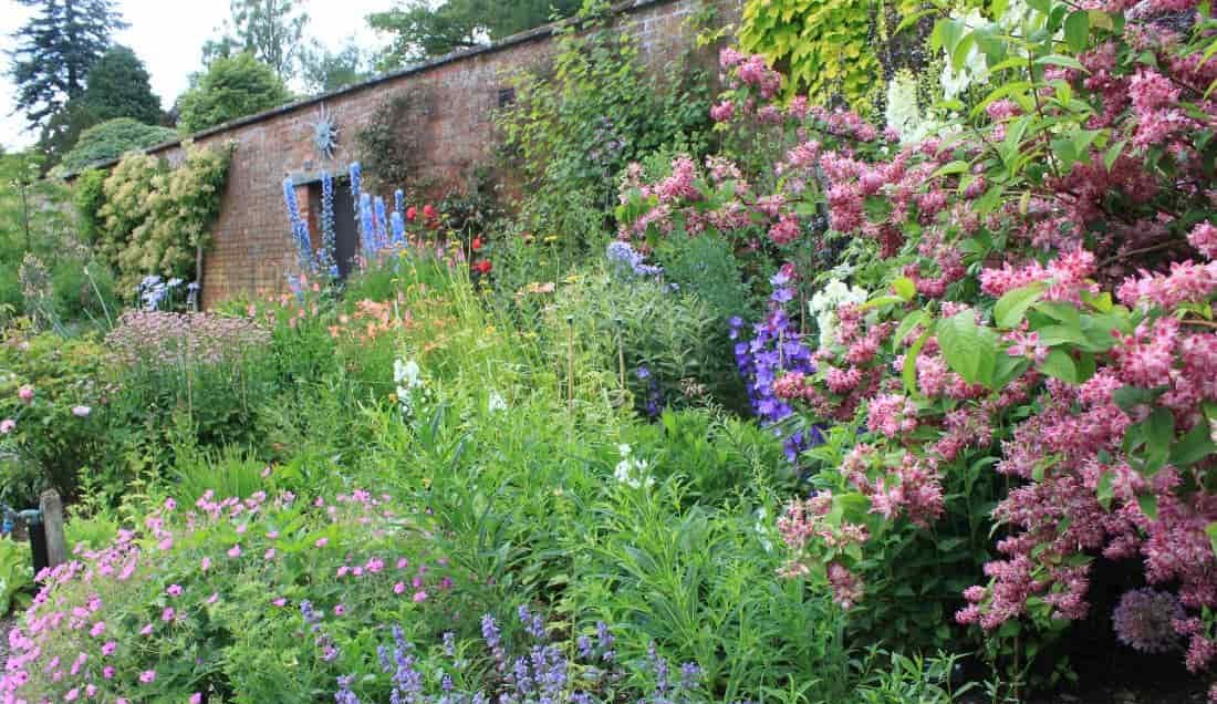 Explore Holehird Gardens