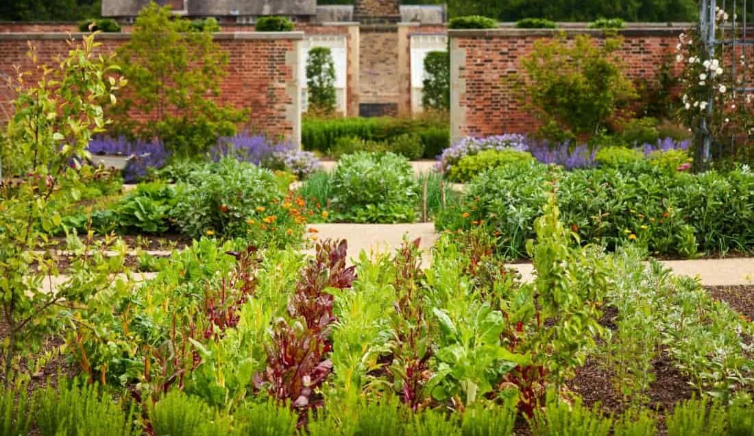 Visit Bridgewater RHS Garden 