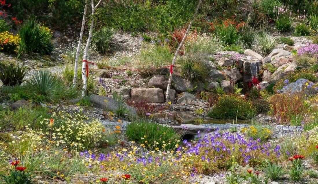 Visit Keith Wiley’s Wildside Garden