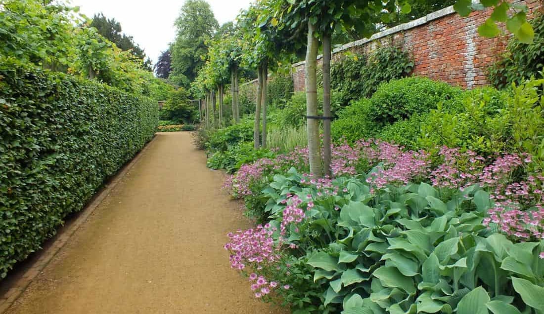 Explore Scampston Hall Gardens