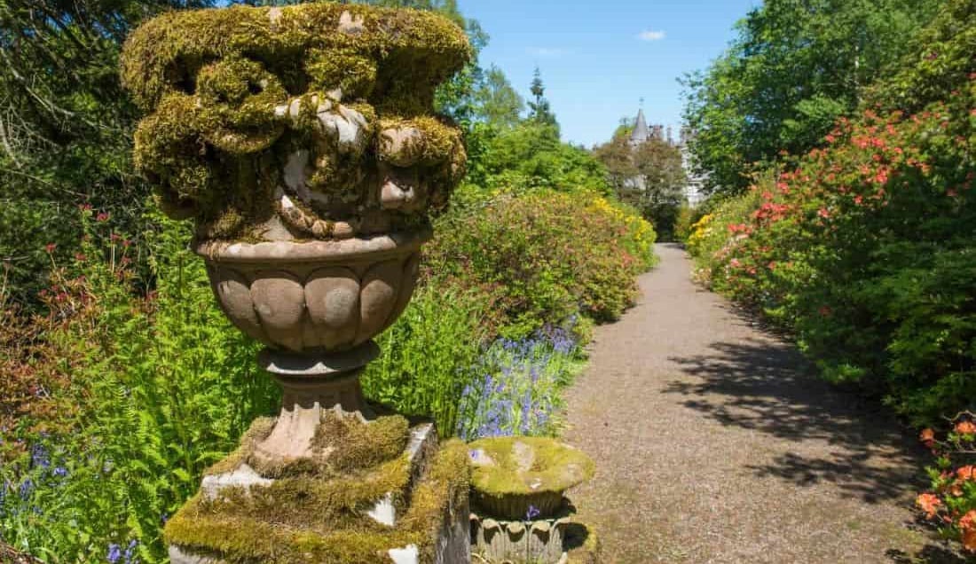 Visit Dawyck Botanic Gardens