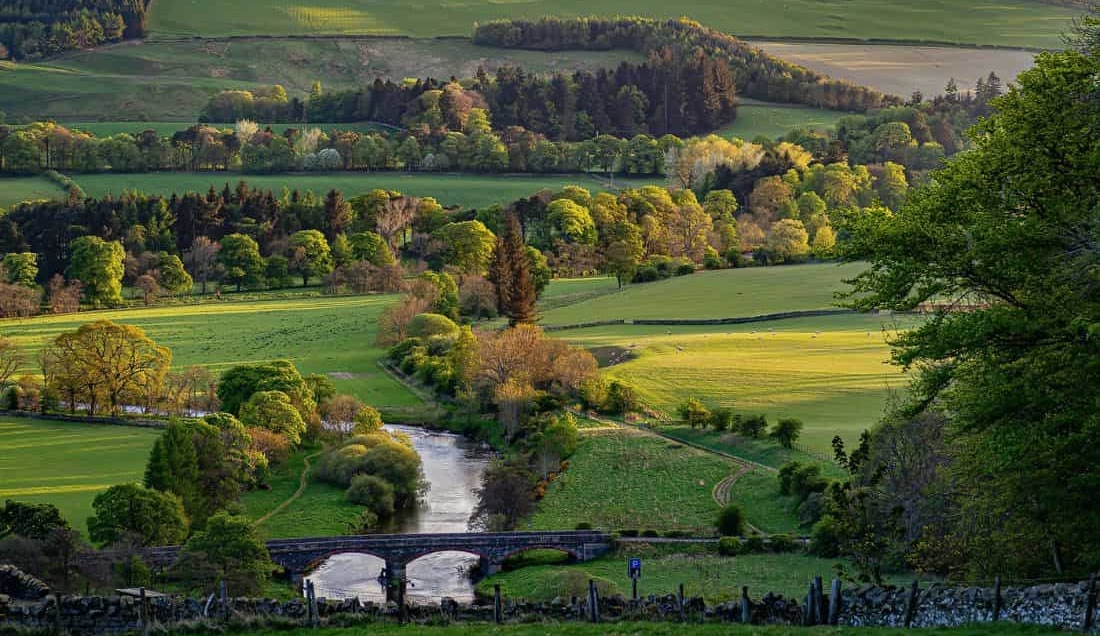 Gardens of the Scottish Borders