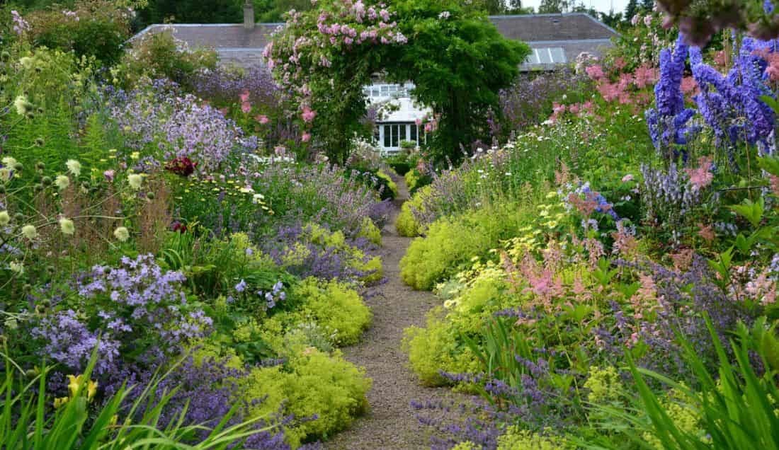 Explore Carolside Garden