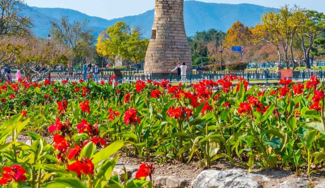 Visit Cheomseongdae, astronomical observatory in Gyeongju