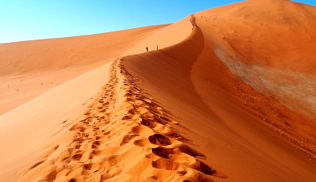 Take the option to climb Big Daddy, the tallest sand dune in Sossusvlei.