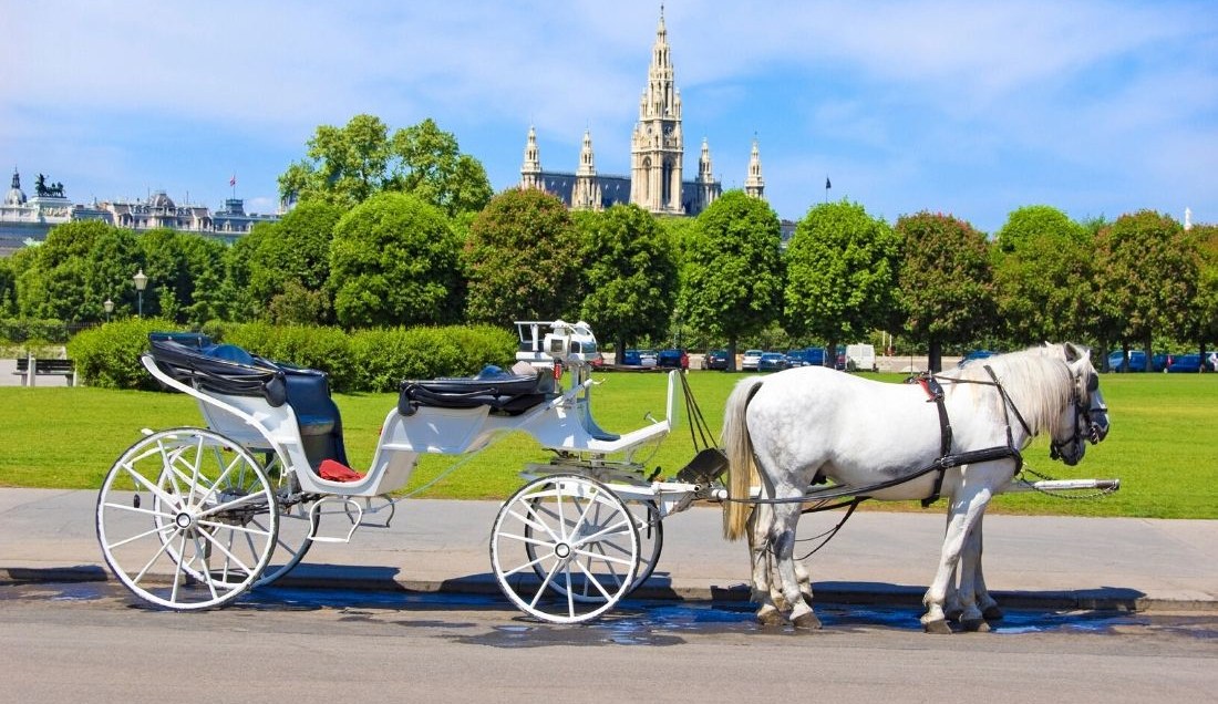 Danube Taster River Cruise - Solo Traveller (Passau-Passau)