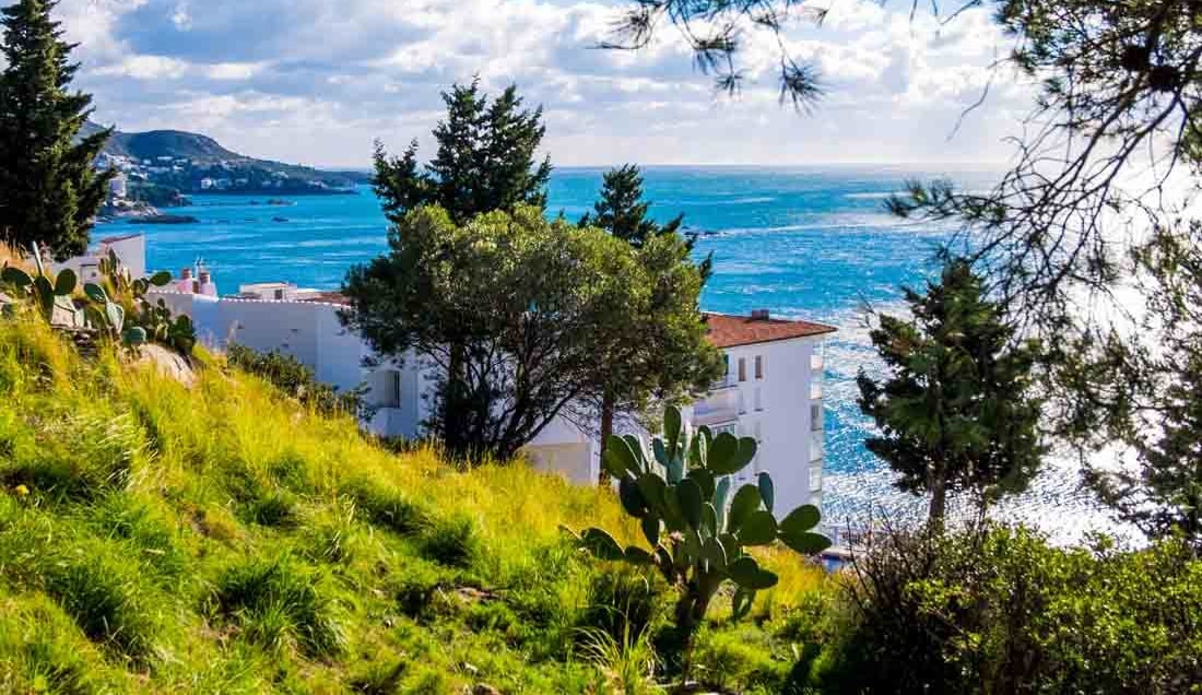 Discover Roses on Holiday to Spain