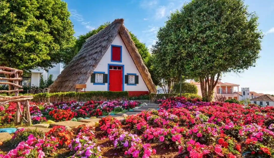 See the iconic thatched roofs of Santana