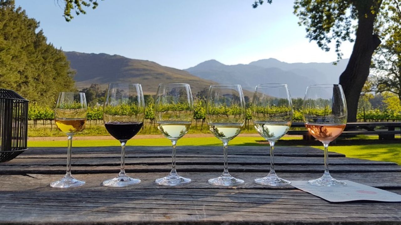 Highlights of our South African holidays